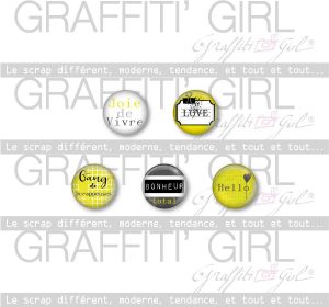 Badges "Anis"